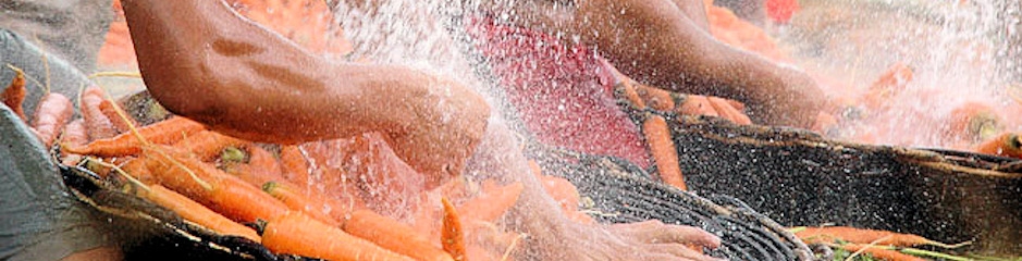 Farmers washing carrots, Capibaribe River, Brazil
